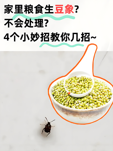 蠶豆�?(7).png