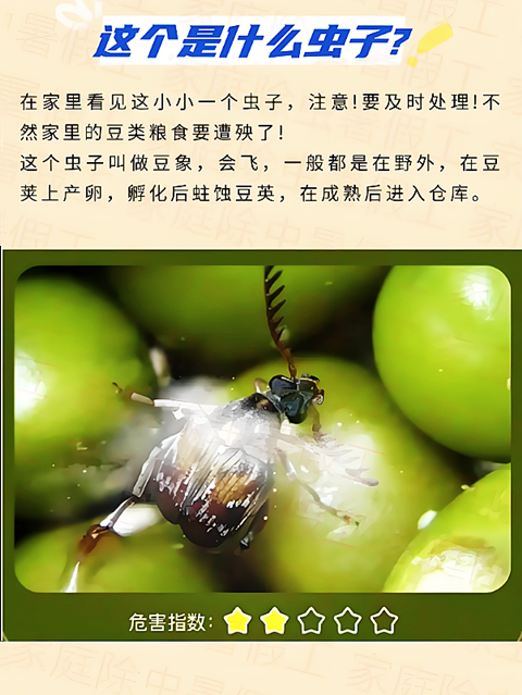 蠶豆�?(8).png