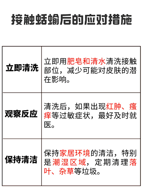 蛞蝓 (6).png