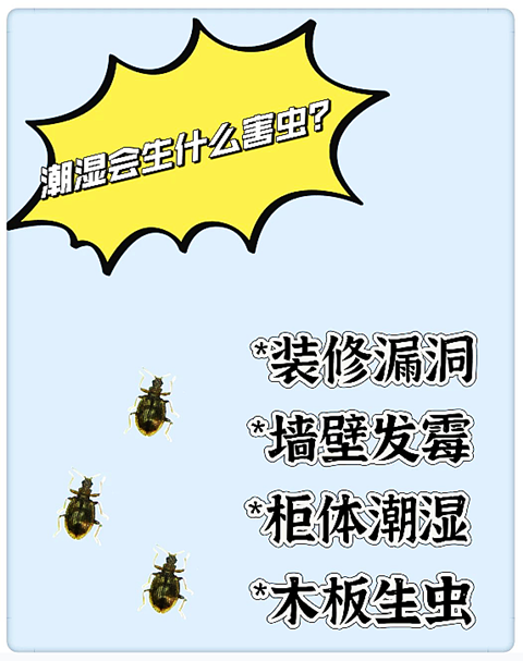 1747714243092.png