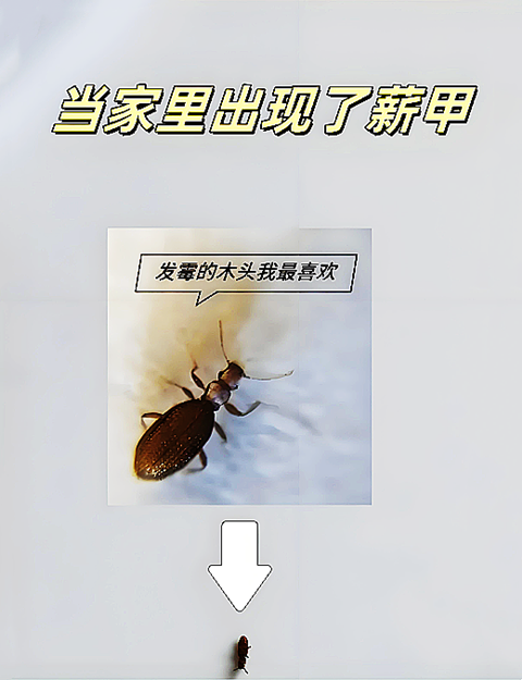 1747713854522.png